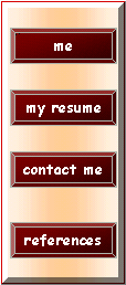 try to surf my site